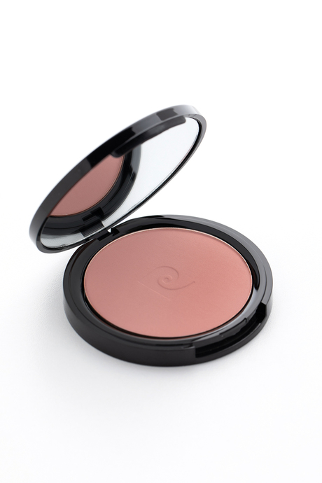 Pierre Cardin Porcelain Edition Blush On - Allık - Modern Ballet