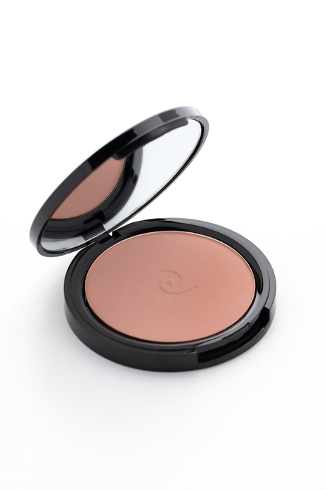 Pierre Cardin Porcelain Edition Blush On - Allık - Salmon Peach