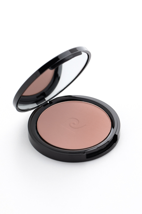 Pierre Cardin Porcelain Edition Blush On - Allık - Cool Pink