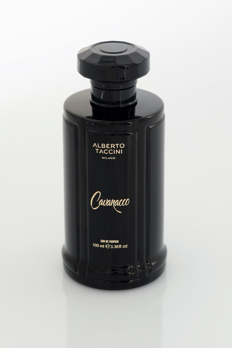 Alberto Taccini CAVANACCO Erkek Parfümü - 100 ml